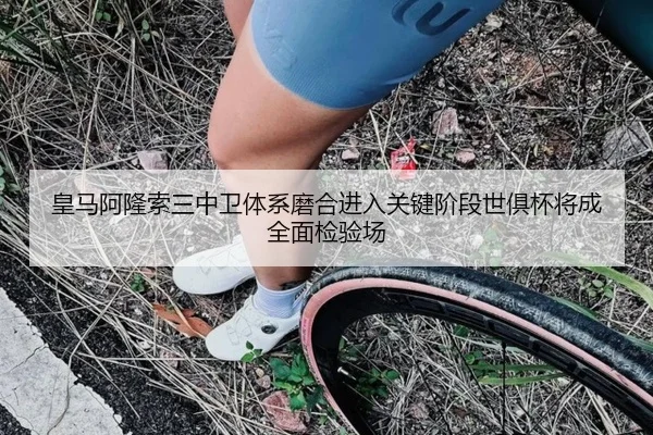 皇马阿隆索三中卫体系磨合进入关键阶段世俱杯将成全面检验场